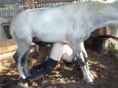 The horse shoved his enormous cock up her ass.